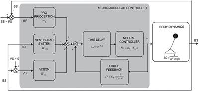 Evidence in Support of the Independent Channel Model Describing the Sensorimotor Control of Human Stance Using a Humanoid Robot